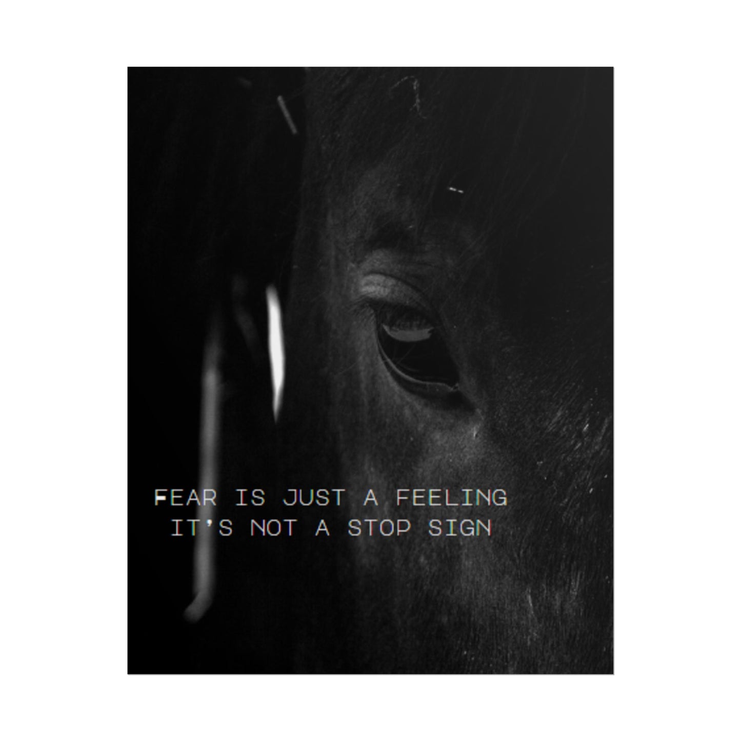 Inspirational Wall Art- TE NOTE "Fear Is Just A Feeling It's Not A Stop Sign"