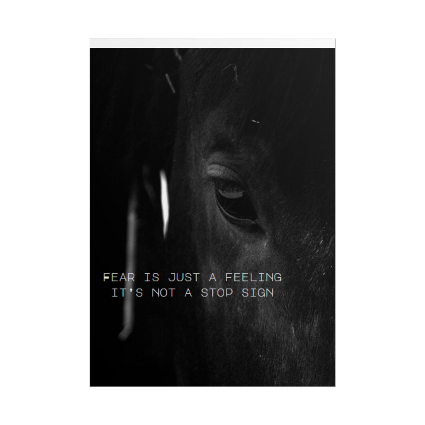 Inspirational Wall Art- TE NOTE "Fear Is Just A Feeling It's Not A Stop Sign"