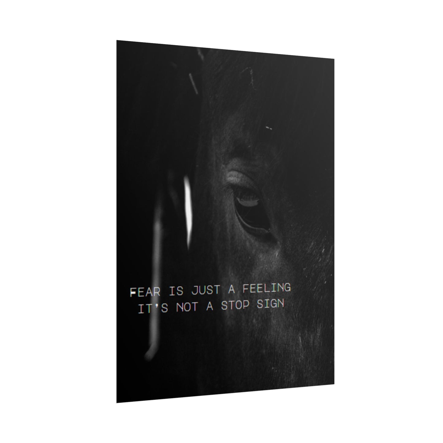 Inspirational Wall Art- TE NOTE "Fear Is Just A Feeling It's Not A Stop Sign"